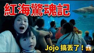 【紅海驚魂】在以色列最美水族館把小孩搞丟了！😱 差點崩潰的 Eilat 親子之旅