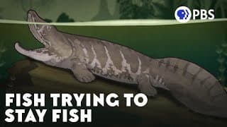 The Accident That Helped Fish Conquer the Earth