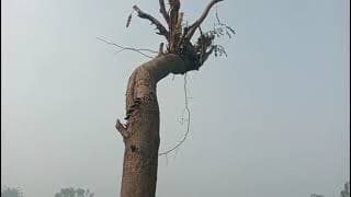 Kosom today full episode  15 December 2025/ajker notak perbo kuskum today full episode