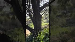 ECE 3006 Assessment 1 Digital presentation