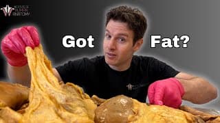 Fat: The Good_ the Bad_ & the Truth About Losing It