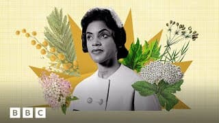 How nature can make you feel calmer | BBC Global