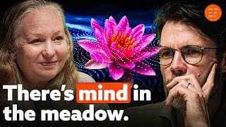 Why We Need To Quit 'Fixing' The World: A Cybernetic Approach To Planetary Challenges