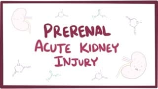 Prerenal acute kidney injury (acute renal failure) - causes, symptoms & pathology