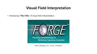 The Five Golden Rules of Visual Field Interpretation