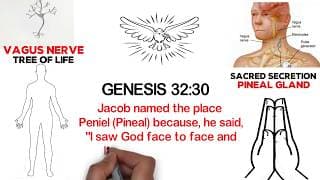 GENESIS & INTRO - The AMAZING Sacred Secretion / Christ Oil / Chrism (part 1)