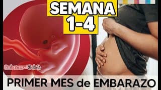 1 MES de EMBARAZO 🤯🔥7 DATOS importantes que DEBES CONOCER