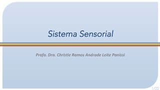 Sistema Sensorial