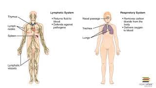 Chapter 1 Recorded Lecture