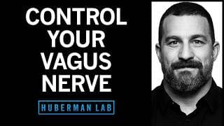 Control Your Vagus Nerve to Improve Mood, Alertness & Neuroplasticity