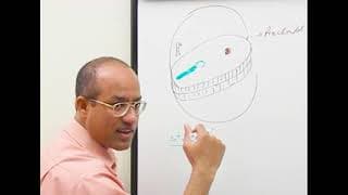 development up to 3rd week trileminar disc part 1 240p