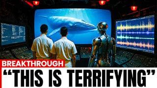Scientists Just Decoded Language of the Whales Using AI... And It's Not What You Think