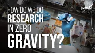 How Do We Do Research in Zero Gravity? We Asked a NASA Expert