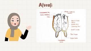 Anatomi Interior Ambing Domba || Kelompok 5 || PTP || PTK B