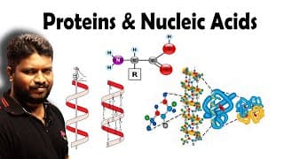 Proteins, Vitamins & Nucleic Acids | Biomolecules