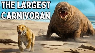 The Largest Animals You've Never Heard Of