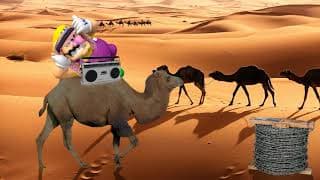 Wario dies after getting kicked into rusty barbed wire by an angry camel in the Sahara Desert.mp3