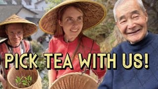 Rural China during tea season: is this Hangzhou's cutest tea house? 🍵🐓🌸 杭州美丽乡村日记 和歪果仁一起采茶！