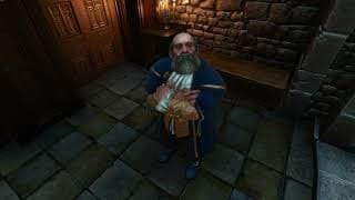 The Witcher 3 - Vimme Vivaldi - All Voice Lines - All Dialogue