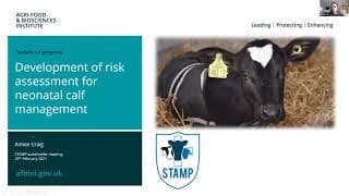 STAMP - Development of a risk assessment for neonatal calf management