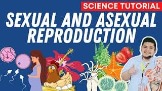 Sexual And Asexual Reproduction | Science 7 Quarter 2 Module 4 Week 5