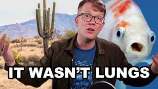 The Hardest Problem Evolution Ever Solved