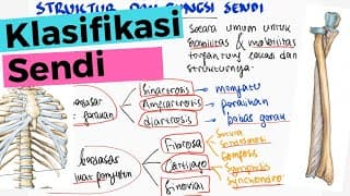Anatomi : Jenis dan Klasifikasi Sendi - Sinartrosis, Amfiartrosis, Diartrosis