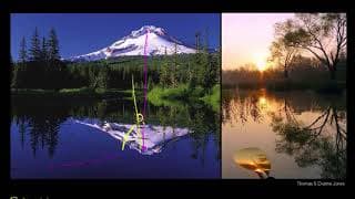 Laws of reflection
