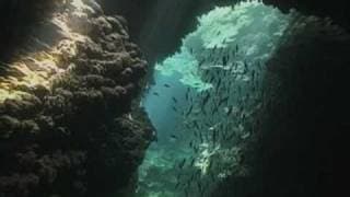 The Cartagena Protocol on Biosafety (English)