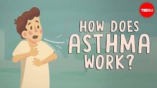 How does asthma work? - Christopher E. Gaw