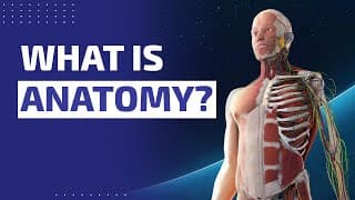 What is Anatomy?