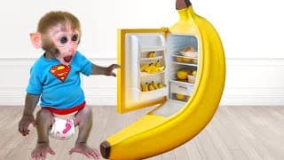 Monkey Baby Bon Bon : A Funny Misunderstanding and Unexpected traps at home