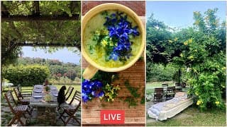 Coltiva il tuo giardino felice. Con Laura Bianchi 🔴