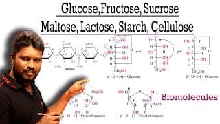 Cyclic Structure of Glucose | Fructose | Sucrose | Maltose | Lactose | Starch & Cellulose