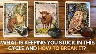 What is keeping you stuck in this cycle and how to break it? ✨🔮✨ | Pick a card