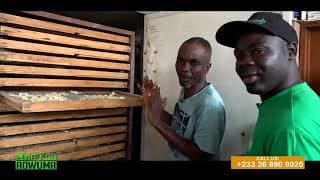 1D1F: 2025 ASHANTI REGIONAL BEST FARMER TURNING RAW PLANTAIN INTO FUFU FLOUR AND ALATA SOAP