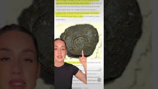 Proof of the Bible P.2- Noah’s Ark