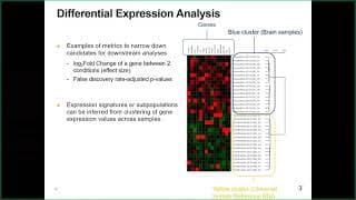 Fundamentals of RNA-Sequencing (RNA-seq) Analysis