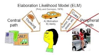 Central and Peripheral Route