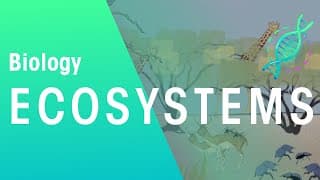 What Is An Ecosystem? | Ecology & Environment | Biology | FuseSchool