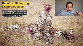 Lecture 3.1_Mammalian Social Behavior and Communication