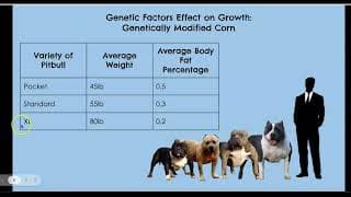 Environmental and Genetic Factors & Growth