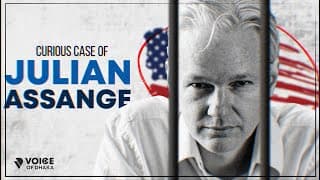 দ্য কিউরিয়াস কেইস অব  Julian Assange | The Great Hacker of  The Time