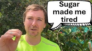 Coach Diabetes Explains How Sugar Makes Him Tired All The Time @COACH-CARBOHYDRATE