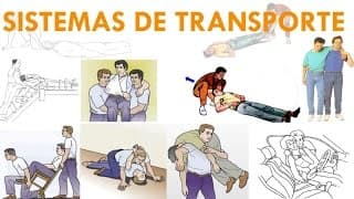 SISTEMAS DE TRANSPORTE