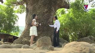 Tra Vinh   A city in the forest