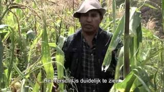 Klimaatrechtvaardigheid