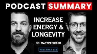 Improve Energy & Longevity by Optimizing Mitochondria | Dr. Martin Picard | Huberman Lab