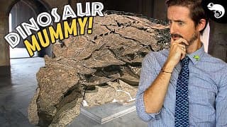 There Are Dinosaur Mummies, and They Are Changing Paleontology Forever!