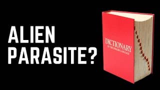 Language Has a VERY DARK Secret (I’ll Prove it)